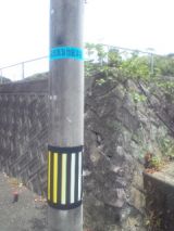 34391-2.jpg