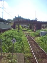 34503-1.jpg