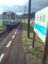 34510.jpg