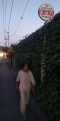 34521.jpg