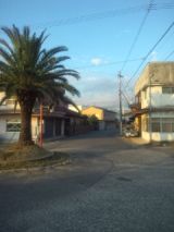 34535-4.jpg