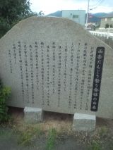 34536-5.jpg
