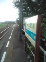 34536.jpg