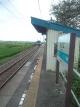 34539.jpg