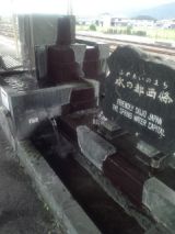 34542-1.jpg