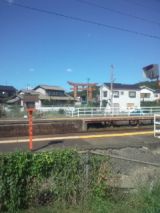 34561-5.jpg