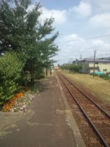 34619.jpg