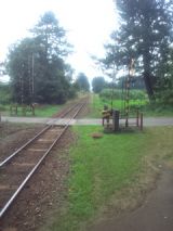 34620-4.jpg