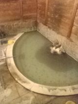 34672.jpg