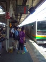 34683-2.jpg