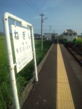 34733-4.jpg