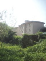 34737-7.jpg