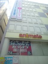 34742-3.jpg