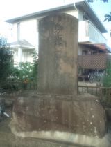 34756-2.jpg