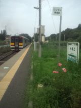 34760.jpg