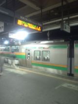 34770.jpg