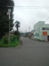 34847-7.jpg