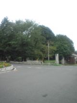 34850-6.jpg