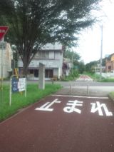 34854-2.jpg