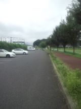 34854.jpg