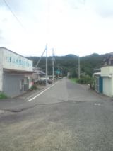 34873-3.jpg
