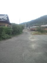 34948-5.jpg