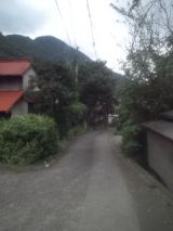 34952-6.jpg