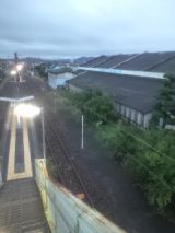 34978-7.jpg