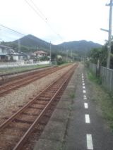 35022-1.jpg