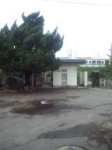 35022-5.jpg