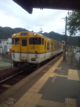 35087-7.jpg