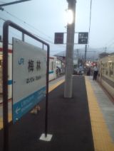 35109.jpg
