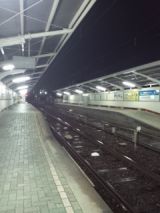 35164-1.jpg