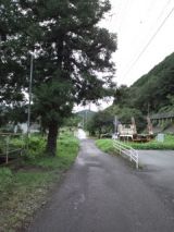 35181-2.jpg