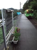 35181-4.jpg