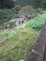 35183-6.jpg