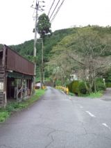 35183.jpg