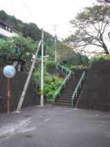35184-3.jpg