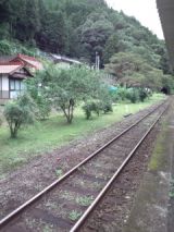 35185-1.jpg