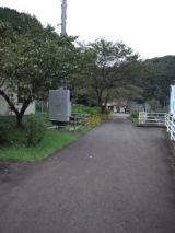 35185-2.jpg