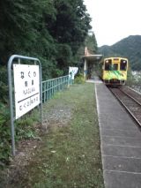 35186-7.jpg