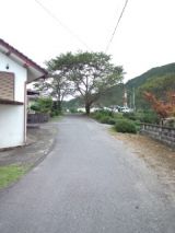 35194-1.jpg