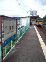 35203.jpg