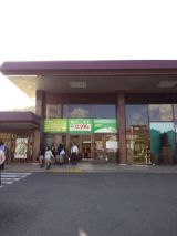 35236-3.jpg