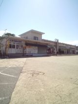 35247.jpg