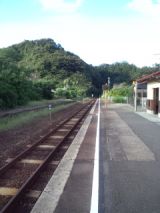 35256-1.jpg