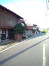 35257-4.jpg