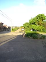 35257-5.jpg