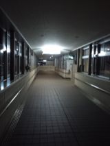 35266-3.jpg