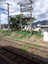 35286-5.jpg